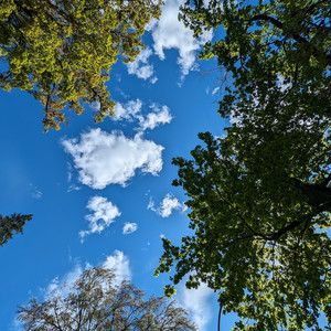 primavera '24